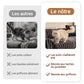 📢50% DE RÉDUCTION!✨Housse de canapé douce et antidérapante en peluche