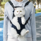 Open, Breathable & Adjustable Pet Backpack