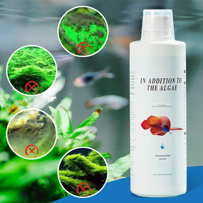 Algicide efficace pour aquarium