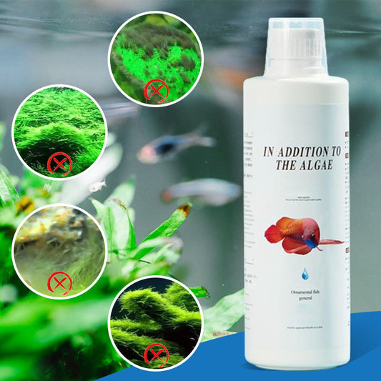 Algicide efficace pour aquarium
