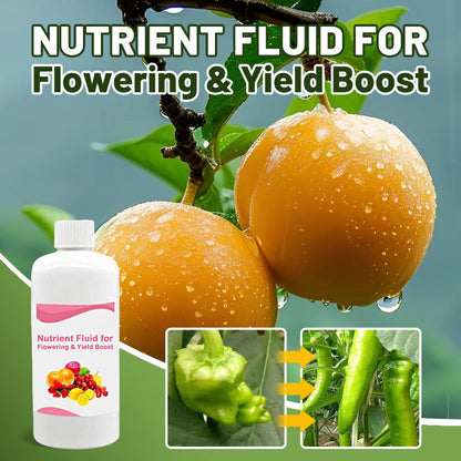 🔥Hot Sale🔥Solution nutritive pour floraison abondante et rendement accru