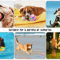 🎾 Balle automatique pour chien – 180 min de jeu, évite les obstacles, 2 modes, recharge USB-C