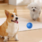 🎾 Balle automatique pour chien – 180 min de jeu, évite les obstacles, 2 modes, recharge USB-C