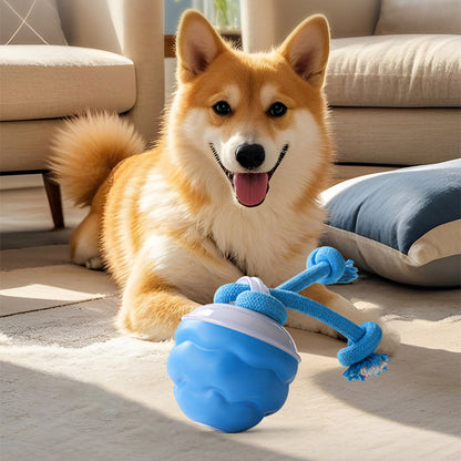 🐾50% De Réduction ! Balle Interactive Électronique Apaisante pour Animaux de Compagnie – Trois Modes, Évitement des Obstacles & Plus! 🐶💡