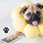 🎄Soldes de Noël 49 % DE RÉDUCTION🎁🐶Kit d'empreintes de pattes d'animaux avec cadre pour cartes🐾🐾