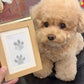 🎄Soldes de Noël 49 % DE RÉDUCTION🎁🐶Kit d'empreintes de pattes d'animaux avec cadre pour cartes🐾🐾