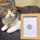 🎄Soldes de Noël 49 % DE RÉDUCTION🎁🐶Kit d'empreintes de pattes d'animaux avec cadre pour cartes🐾🐾