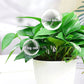 Solution nutritive universelle pour plantes | Racines fortes, sol sain, croissance améliorée