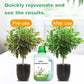 Solution nutritive universelle pour plantes | Racines fortes, sol sain, croissance améliorée