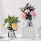 Comprimés effervescents antibactériens puissants pour fleur