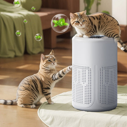 🛡️Purificateur d'air silencieux ✅ Filtration multicouche et grande surface de couverture | Silencieux et économe en énergie 🌿