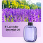 Diffuseur d’huiles essentielles automatique - Parfum d’intérieur avec diffusion réglable