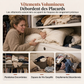 ⏳Offre spéciale à durée limitée⏰Housse pour repose-pieds de rangement : Remplissage avec vêtements, support de 100 kg, large fermeture éclair, lavable, 45x45x23cm