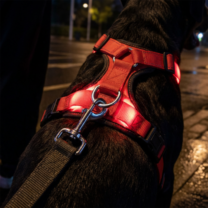 Harnais lumineux à LED pour chien – Haute visibilité et 3 modes d’éclairage pour les promenades nocturnes