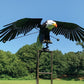 Décoration de patio pour le jardin d'oiseaux