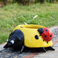 HOT Sale 49% OFF - Pot de fleurs Cute Ladybug